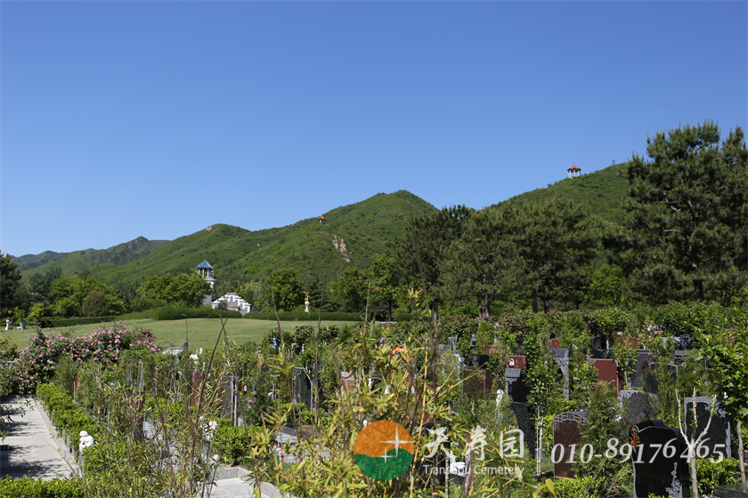 天寿陵园墓区很大